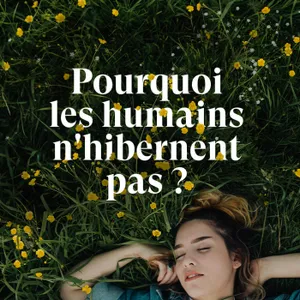 Pourquoi les humains n'hibernent pas ? (Partie 2 - L'hibernation humaine)