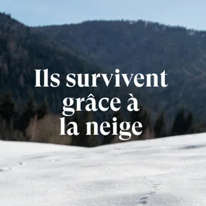 Ils survivent grâce à la neige