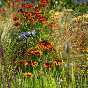 503: Pollinators at RHS Badminton, Elms at RHS Sandringham, and Edimentals