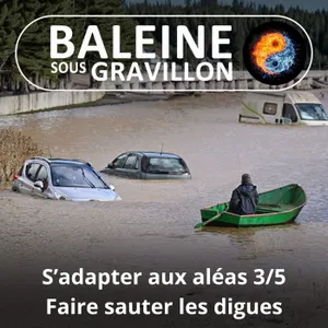 S08E04 S'adapter aux aléas 3/5 : Faire sauter les digues... et les (mauvaises) habitudes (Éric Daniel-Lacombe)