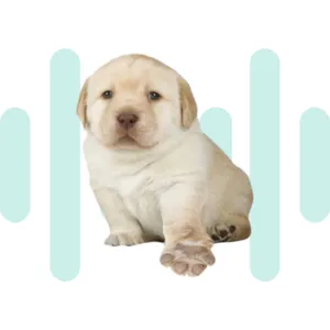Puppy SoundBoard