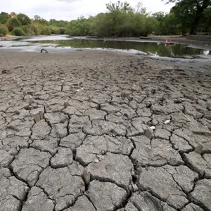 It’s finally raining. Will it be enough to end the drought?