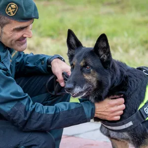 Territorio Negro | Héroes de cuatro patas, los compañeros más fieles de la policía