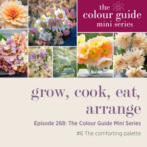 The Colour Guide Mini Series #6: The comforting palette - Episode 268
