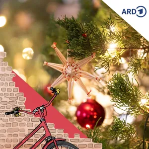Fahrradladen im Festtagsspuk - Teil 1