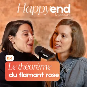Episode 3 : Le théorème du flamant rose
