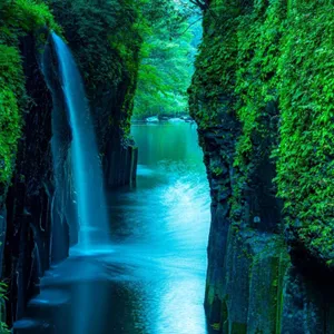Sonidos De La Naturaleza: Pájaros Relajantes Que Cantan El Sonido De Una Cascada Del Bosque Canto De Los Pájaros Y Meditación En El Agua (Sonido De Pequeña Cascada Y Rio)