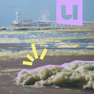 835. Waarom schuim op het strand vol zit met gif