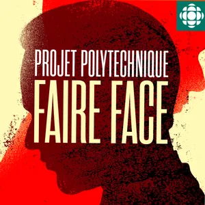 Projet Polytechnique : Faire face : La faute au web ? (4/6)