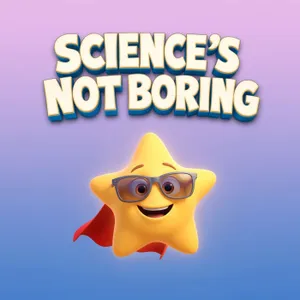 What are stars?