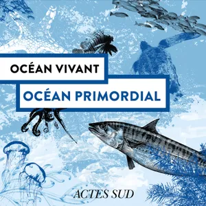 Océan Primordial - Océan Vivant - Épisode 1/6