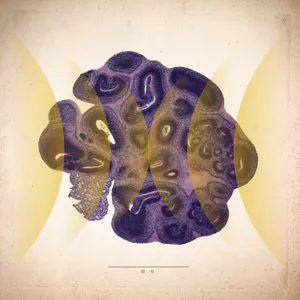 Brain Balls