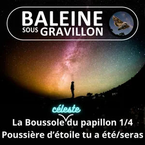 S08E12 La Boussole céleste du papillon 1/4 : Poussière d'étoiles tu as été/es/seras (Benoît Prospero)