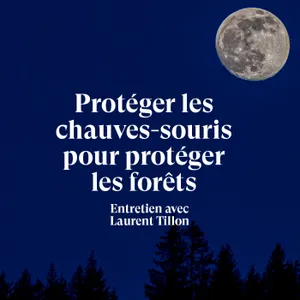 Protéger les chauves-souris pour préserver les forêts - Entretien avec Laurent Tillon