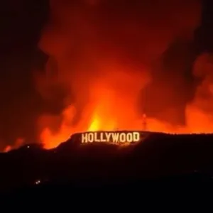 Hollyweird