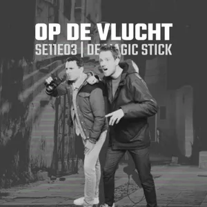 SE11E03 | De Magic Stick