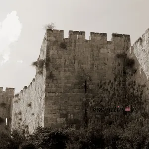 Ticha béav - Et toi, Hachem… comment vas-Tu ?