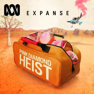 05 Pink Diamond Heist | Roddan's Diamonds