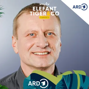 ETC Classics - mit Jörg Gräser