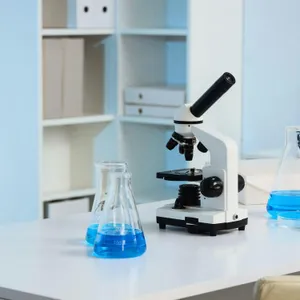 Russia tells WHO that there are no plague cases