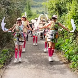 Boss Morris on Rodborough Common