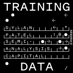 Why Hardware-Software Co-Design Is AI's Real 100x: Dylan Patel of SemiAnalysis