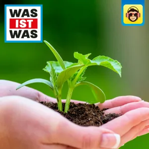 Nachwachsende Rohstoffe - Der Garten der Zukunft