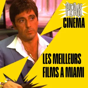 LES MEILLEUS FILMS SE DEROULANT A MIAMI