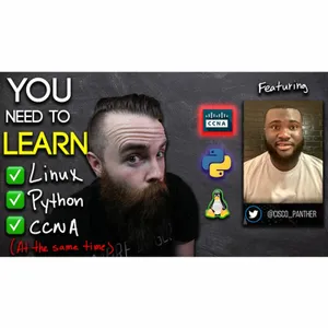 WHY you need to study Python, Linux, CCNA - AT THE SAME TIME! // ft. Cisco_Panther