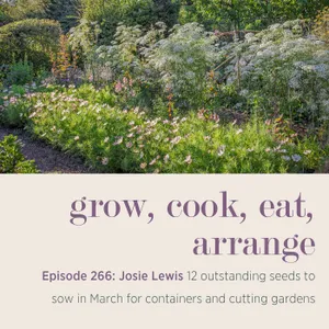 Josie Lewis: 12 outstanding seeds to sow in March for containers and cutting gardens - Episode 266