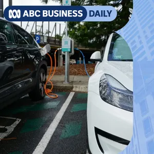 To tax or not to tax EVs