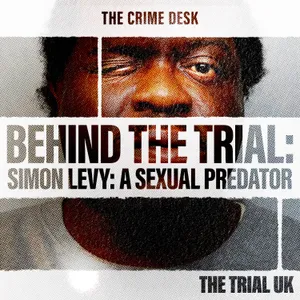 Simon Levy: A Sexual Predator - The Expert Witnesses