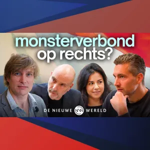 Alles of Niets voor het Kabinet? DNW Politiek met Bert Slagter | #2408