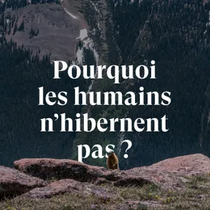 Pourquoi les humains n’hibernent pas ? (Partie 1 - l’hibernation des mammifères)