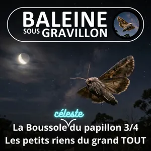 S08E14 La Boussole céleste du papillon 3/4 : S'émerveiller des petits riens... du grand TOUT