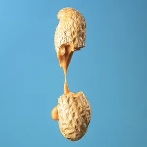 Hoe voorkom je pinda-allergie?