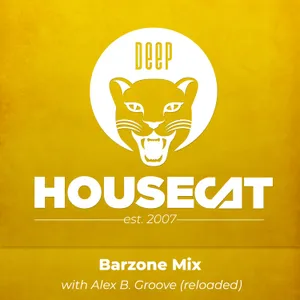 Barzone Mix (remastered) - with Alex B. Groove