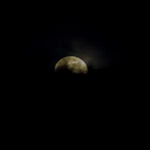 Si lo Escuchas Durante 5 Minutos Entras En Sueño Profundo Inmediatamente, Música para Dormir
