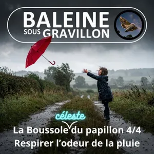 S08E15 La Boussole céleste du papillon 4/4 : Pourquoi on aime tant l'odeur de la pluie ? (Benoît Prospero)