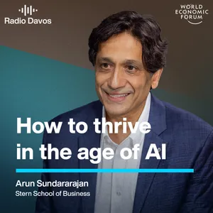 What I tell my Stern Business School students on how to thrive in the age of AI