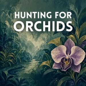 Hunting for Orchids (Encore)