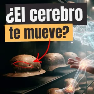 Cerebro, lesión y realidad: por qué el esfuerzo mental tiene un límite