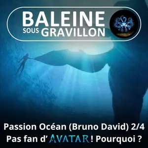 S08E19 Passion Océan 2/4 : "Avatar est tellement moins original que la Vie elle-même !" (Bruno David)