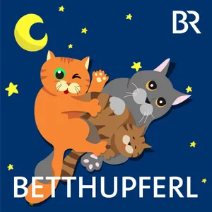 Volle Tatze, Flunkerkatze: Wie ich das Echo gebändigt hab | Eine Gute-Nacht-Geschichte ab 5 Jahren