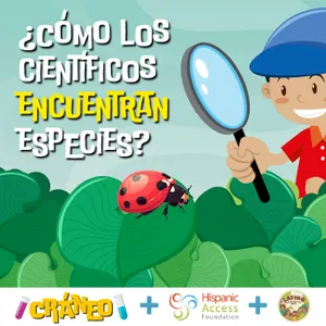 (Reposición) ¿Cómo los científicos encuentran especies?