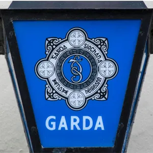 Garda forced to thumb a lift to emergency