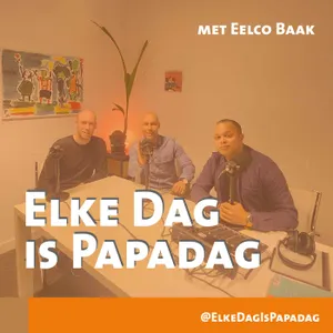 2.2 | Alleenstaande vader? 'Ga van Strijd naar Overwinning' met coach Eelco Baak