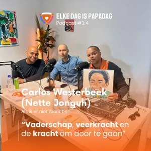 3.4 | Als ik er niet meer ben: een vader, een verleden, een gevecht - Carlos Westerbeek (Nette Jonguh)