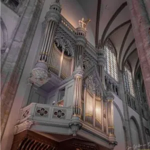 #22 - *SPECIAL* Het orgel van de Domkerk in Utrecht is het grootste orgel van de provincie. Sommige pijpen in het front zijn maar liefst vijf meter lang! (S06)