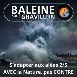 S08E02 S'adapter aux aléas 2/5 : Faire AVEC la Nature, l'eau, le climat, pas CONTRE (Éric Daniel-Lacombe)